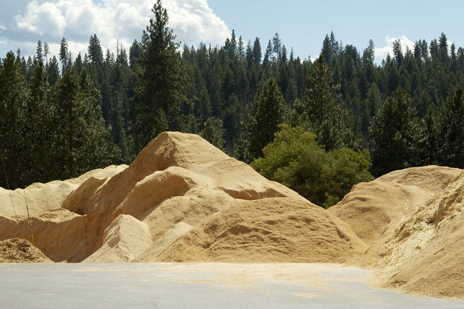 Bonanzawood-Sawdust-Mountain