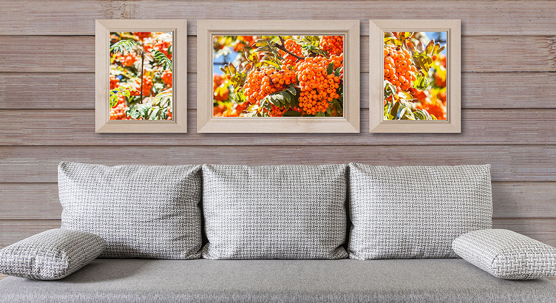 Framerica BonanzaWood